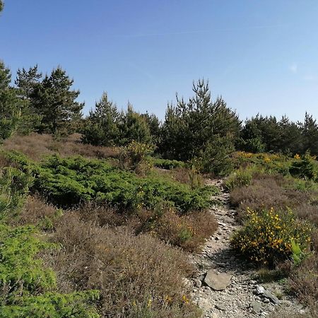 Gite Cote Nature Cabrerolles Buitenkant foto